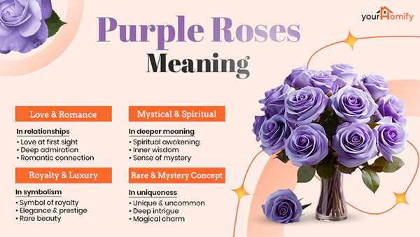 Purple Roses Meaning