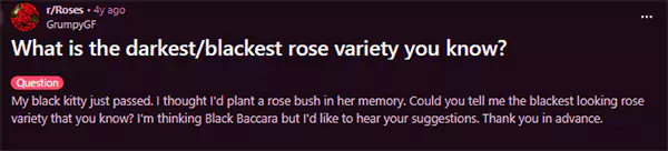 What is the darkest blackest rose variety you know Reddit query