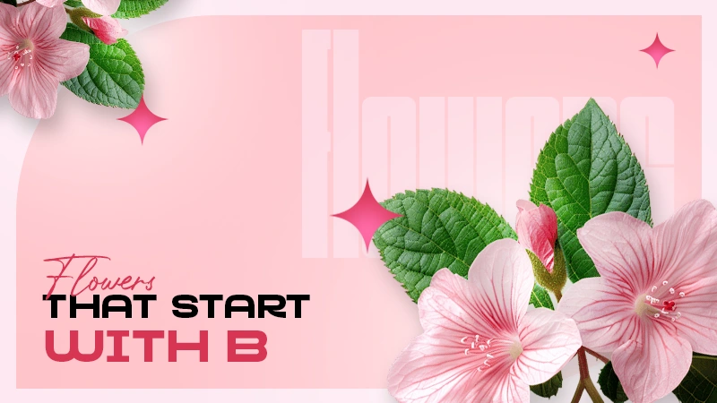 b name flowers