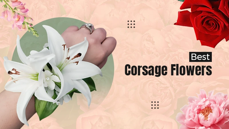 flowers in a corsage