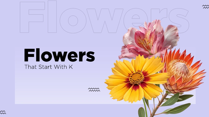 flowers start with k