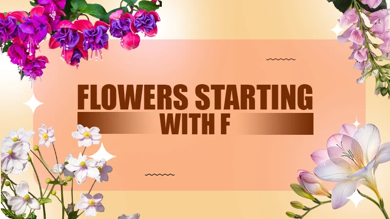flowers starting with f