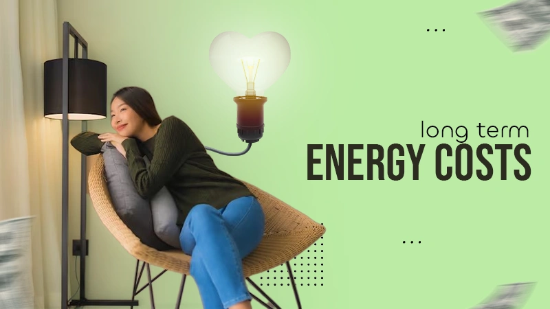 long tern energy costs