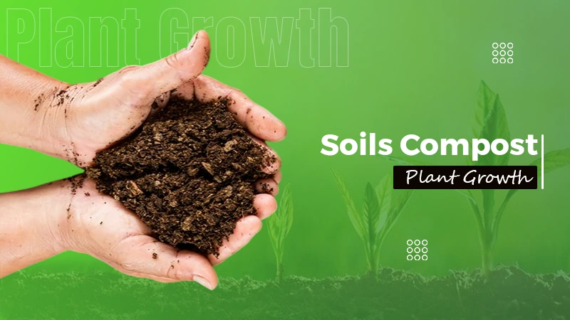soil compost plant growth