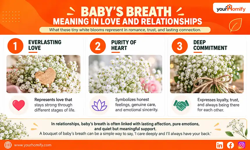 Baby’s Breath Meaning in Love and Relationships