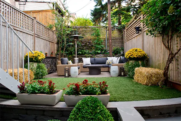 Backyard design