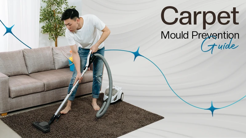 Carpet Mould Prevention Guide