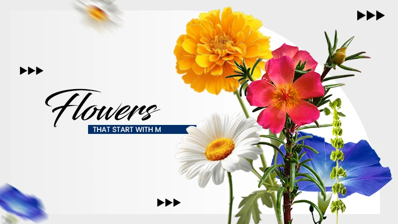 FLOWERS WITH M