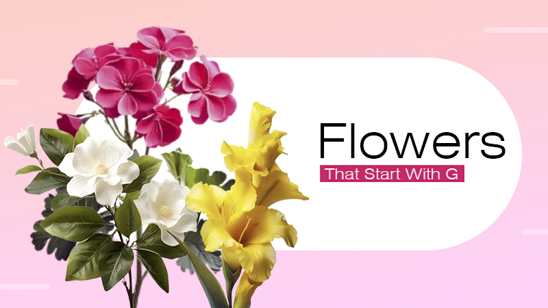 Flowers That Start With G