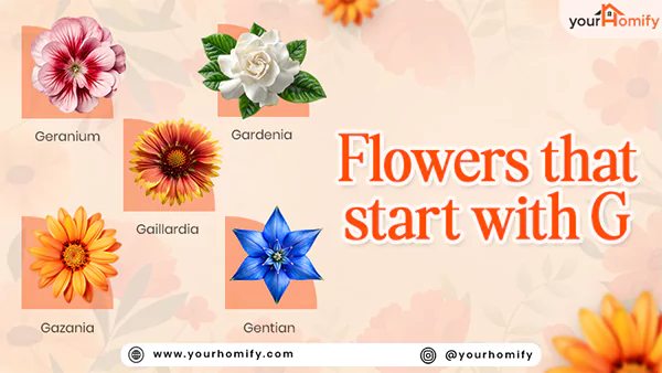 Flowers That Start With G