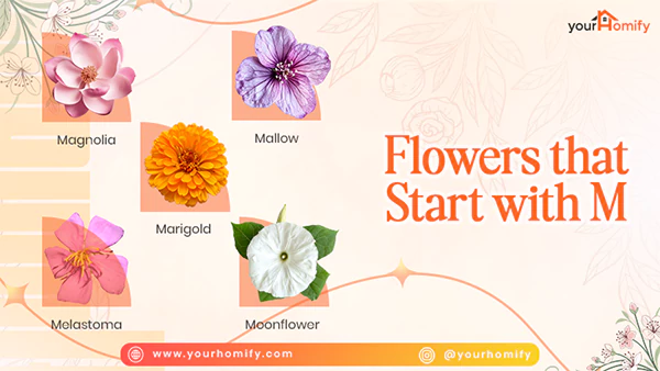 Flowers that start with m