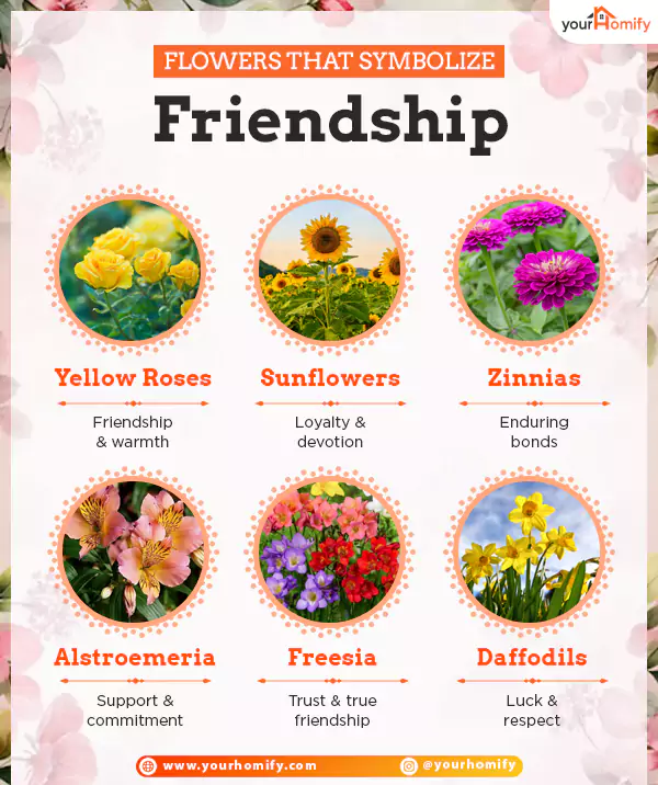 Friendship Flowers