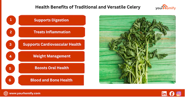 Health Benefits of Traditional and Versatile Celery