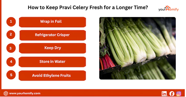How to Keep Pravi Celery Fresh for a Longer Time