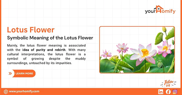 Lotus flower Symbolic meaning