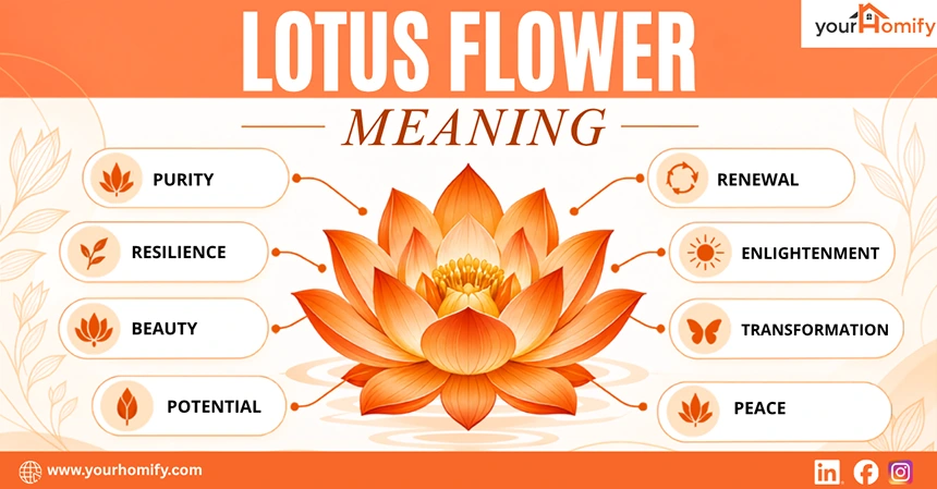 LotusFlower Meaning