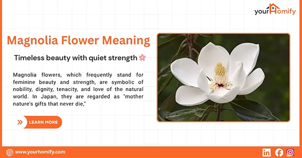 Mongolia Flower Meaning