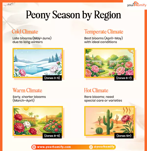Peony Season by Region