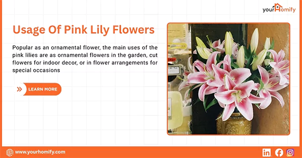 Pink lilies in a vase