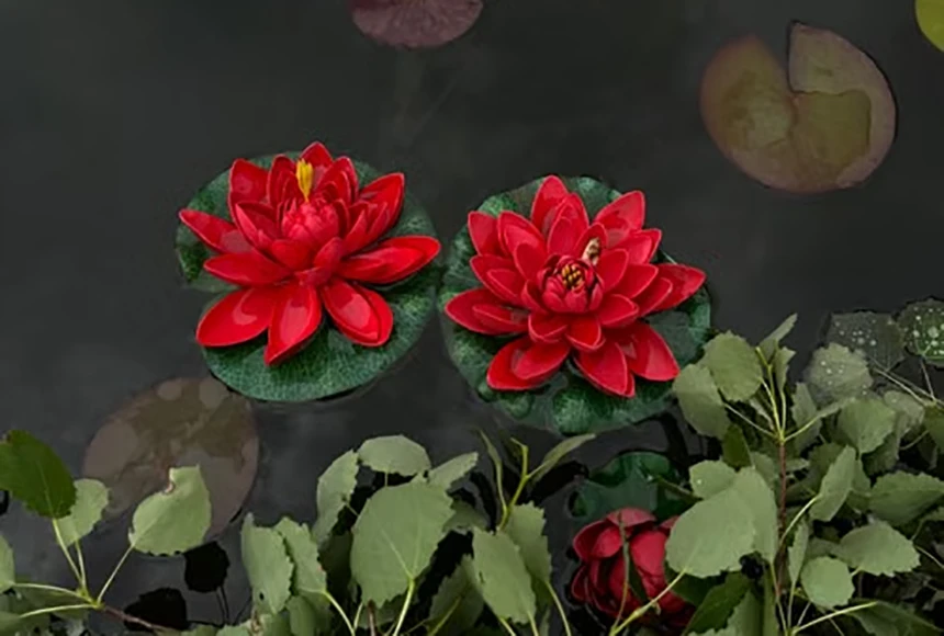 RedLotus