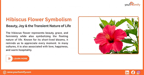 Symbol of Hibiscus flower