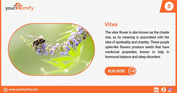 Vitex