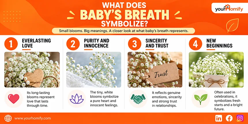 What Does Baby’s Breath Symbolize