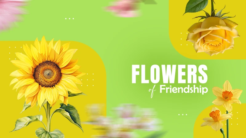 flower of friendship