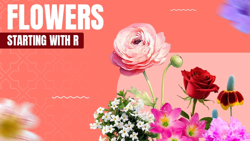 flower starting with R