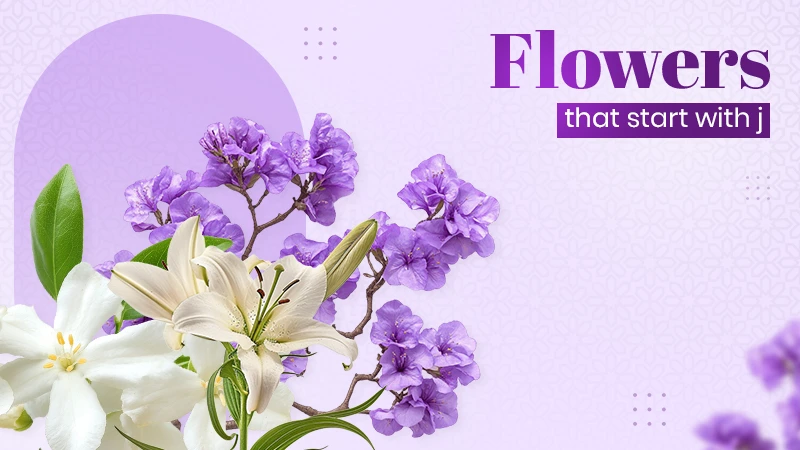 flowers that start with j