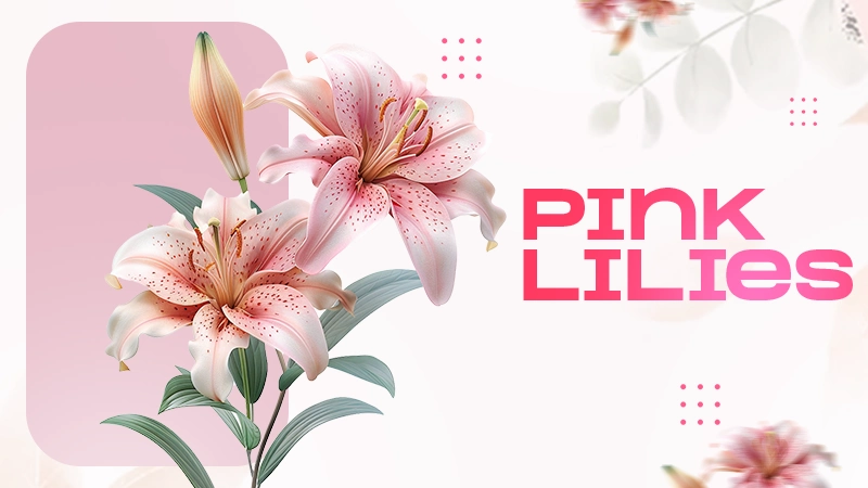 pink lilies