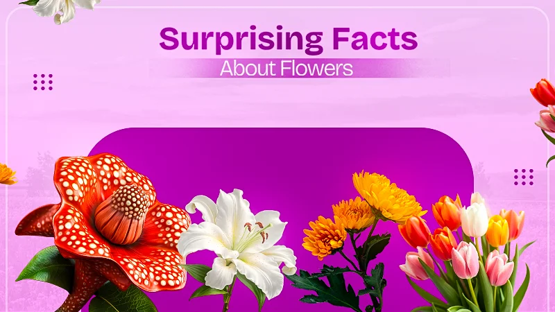 25 Interesting Flower Facts Surprising Things You Didn’t Know About Flowers