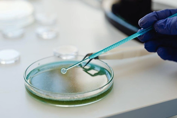 A mold testing kit with petri dish and surface sample in a home interior