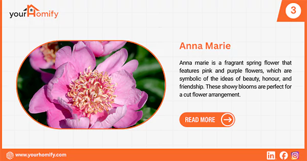 Anna Marie
