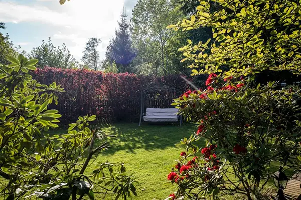 Connected Outdoor Space