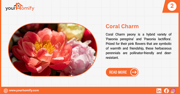 Coral charm