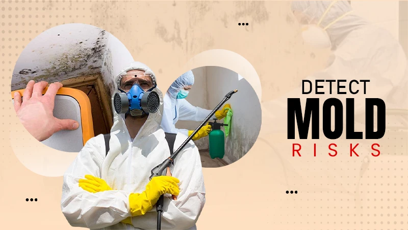 Detect mold risks