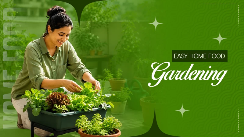 Easy Home Food Gardening