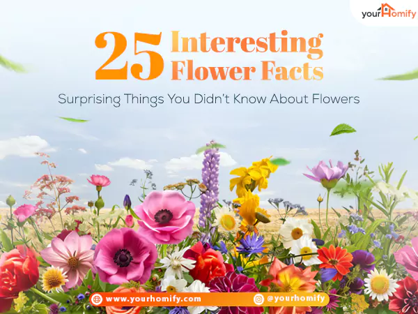 Fact Flowers