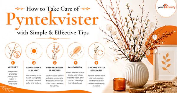 How to Take Care of Pyntekvister with Simple and Effective Tips