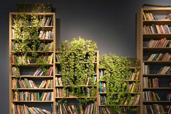 Indoor-Outdoor Coherence