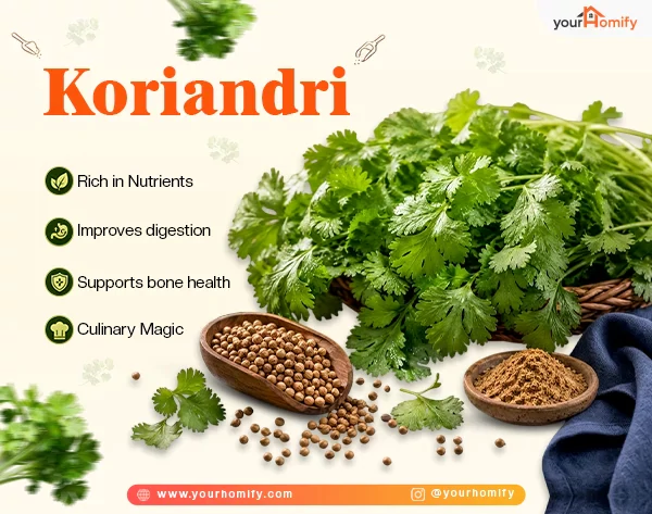 Koriandri