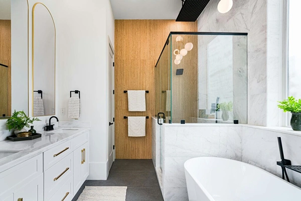 Modern Luxury Bathroom
