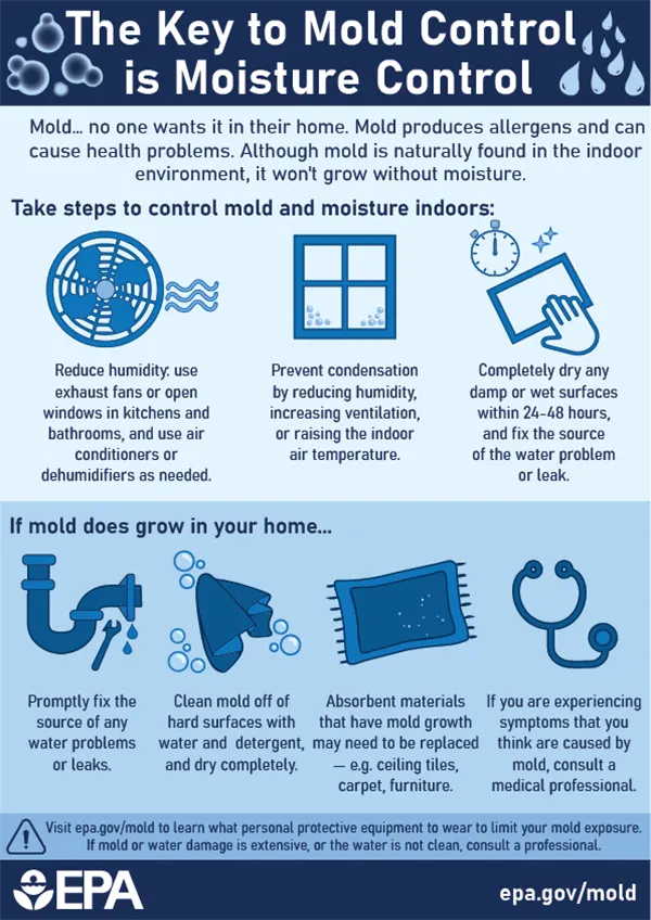 Mold Detection