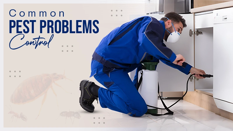 Pest Problems