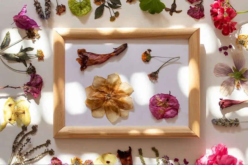 Preserved flowers in a frame