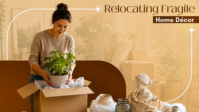 Safely Relocating Your Indoor Garden and Fragile Home Décor