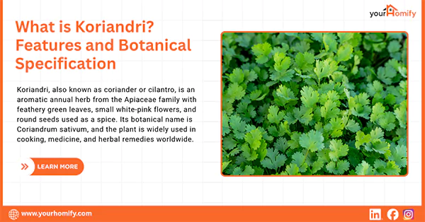 What is Koriandri