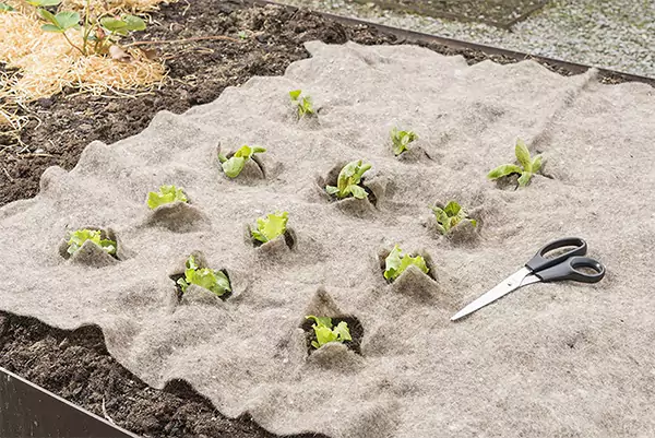 Wool Garden Mats