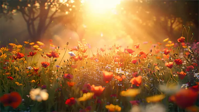 d-Inspirational Flower Quotes